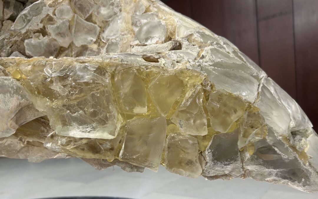 Expertise mit Substanz – Kunstwerke verstehen, bewahren und einordnen